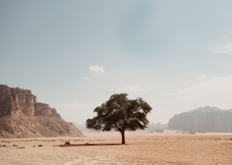 Mail variety is to in necessary